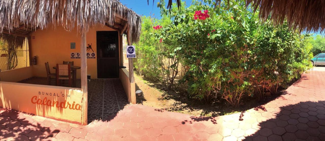 Bungalows Cabo Pulmo Eksteriør bilde