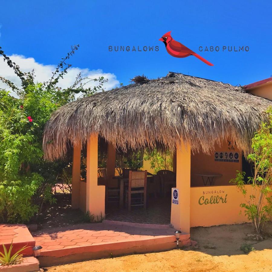 Bungalows Cabo Pulmo Eksteriør bilde