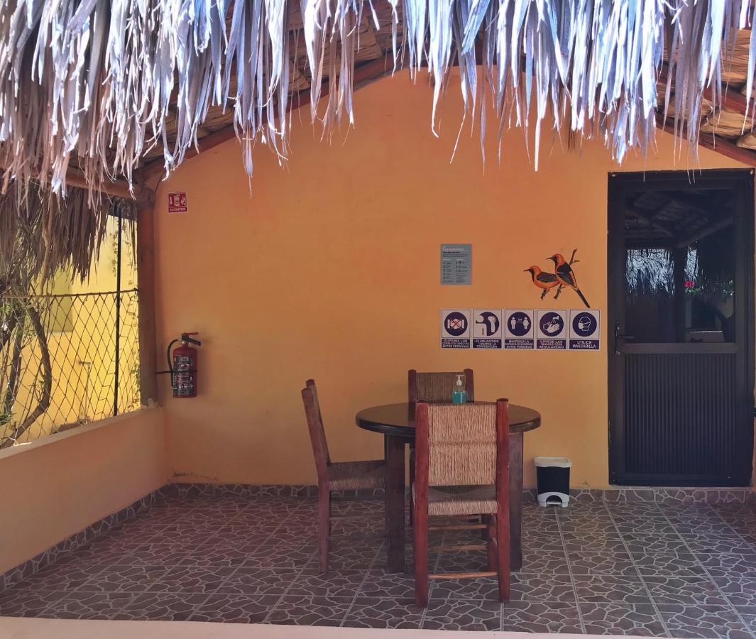 Bungalows Cabo Pulmo Eksteriør bilde