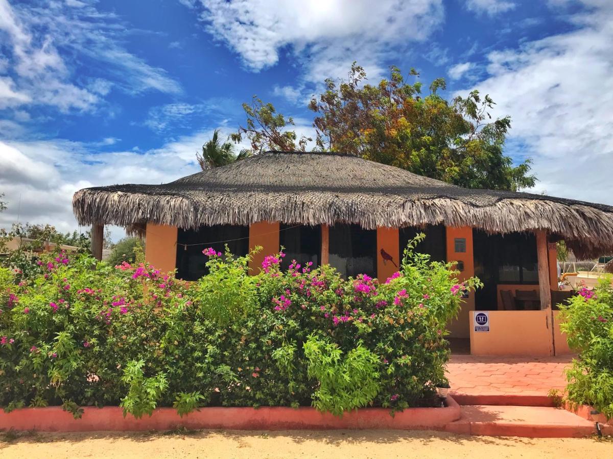 Bungalows Cabo Pulmo Eksteriør bilde