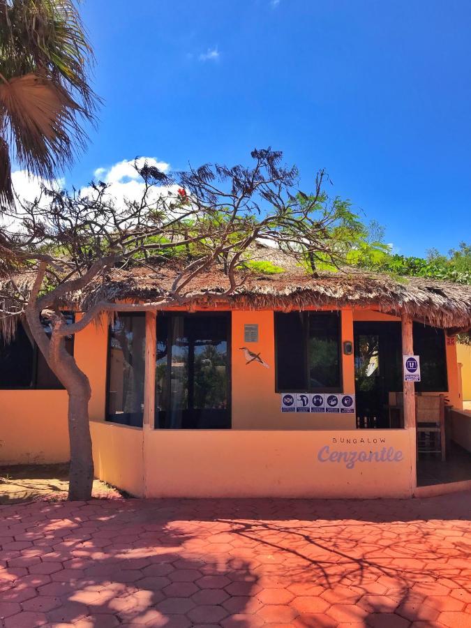 Bungalows Cabo Pulmo Eksteriør bilde
