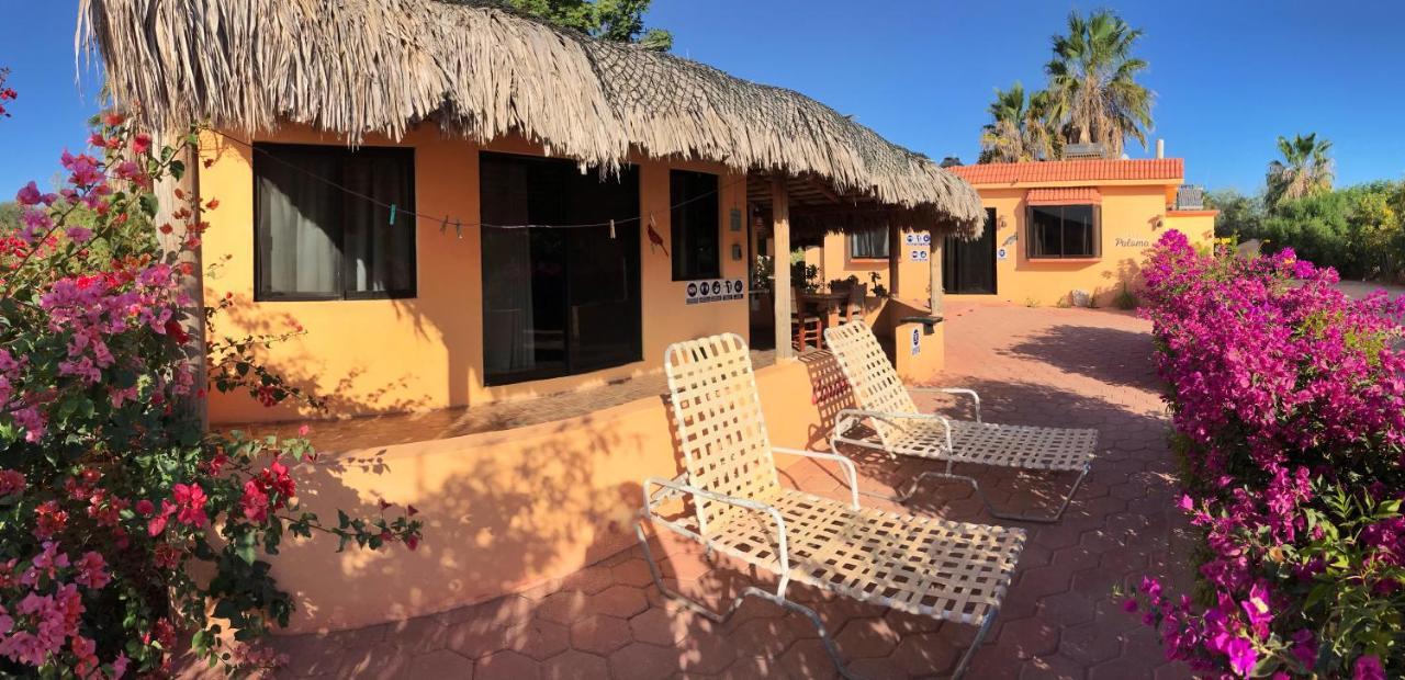 Bungalows Cabo Pulmo Eksteriør bilde